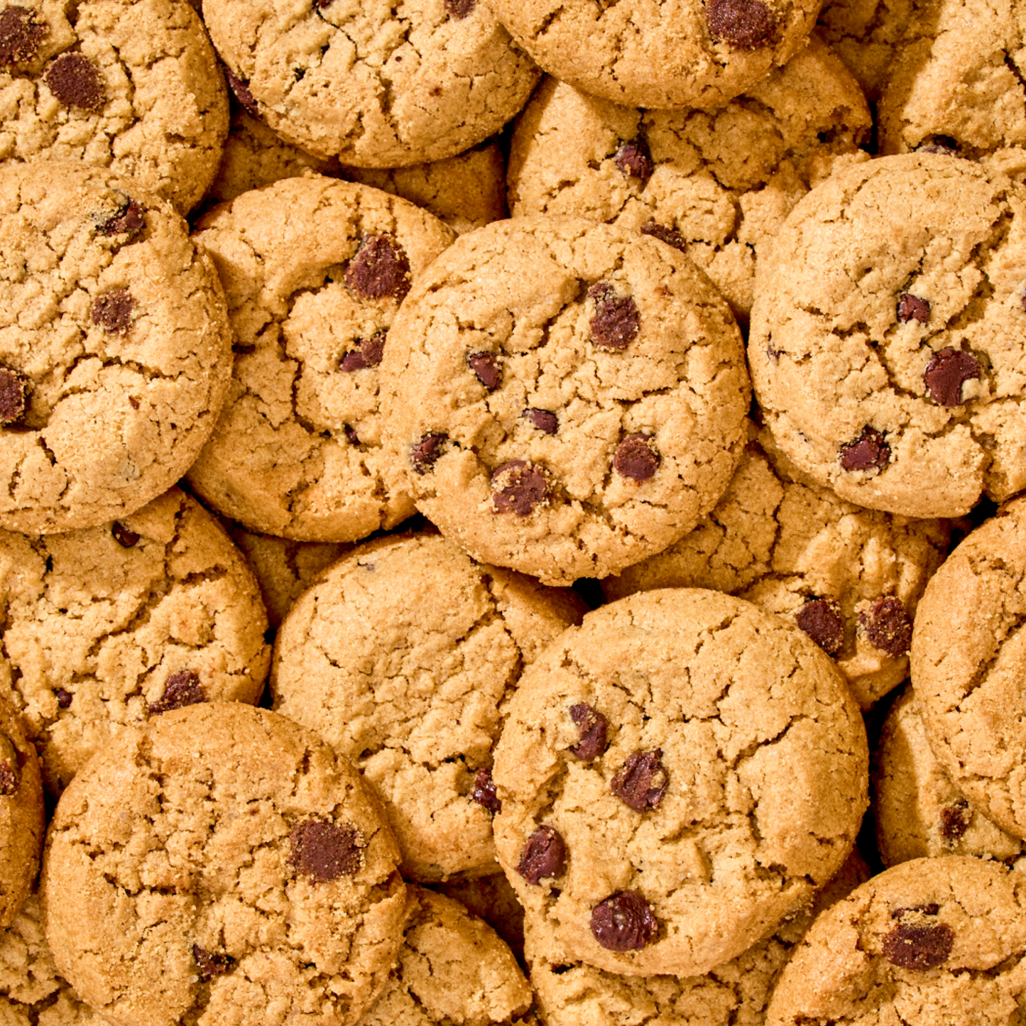 Mini Crunchy Chocolate Chip