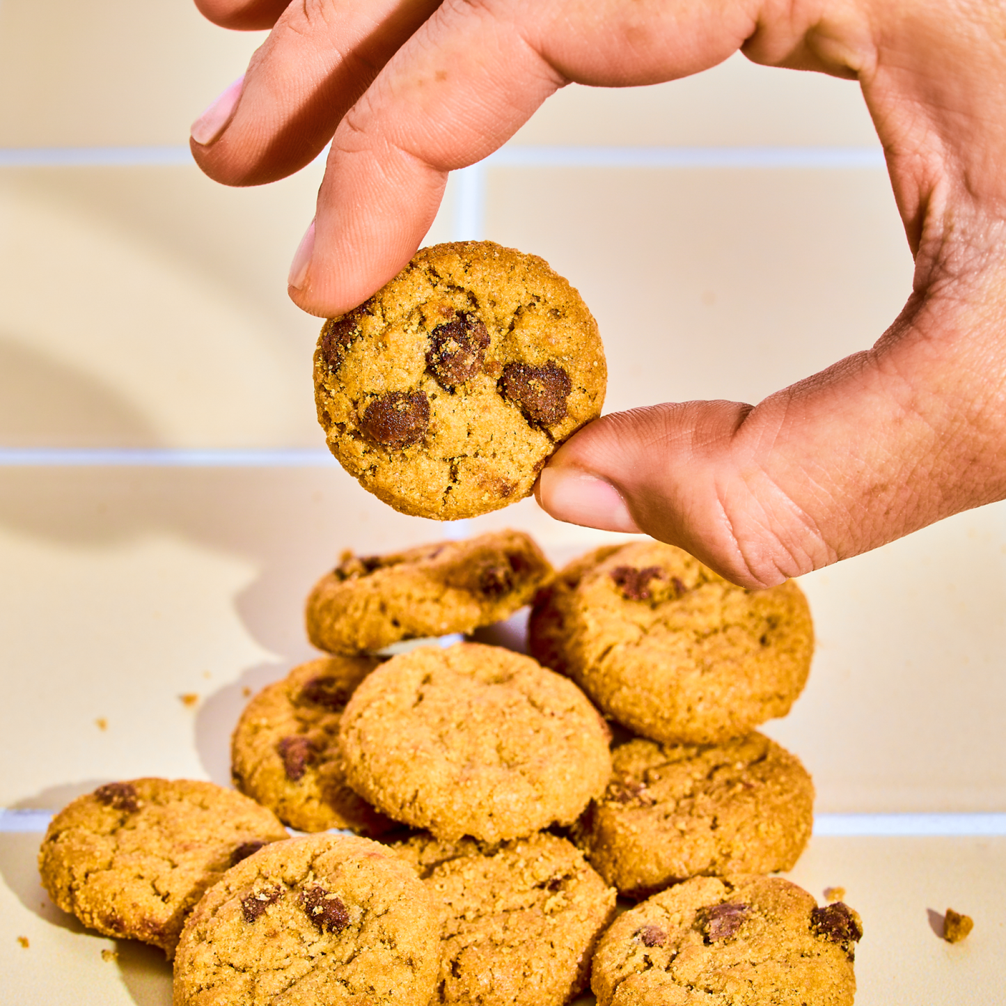 Mini Crunchy Chocolate Chip