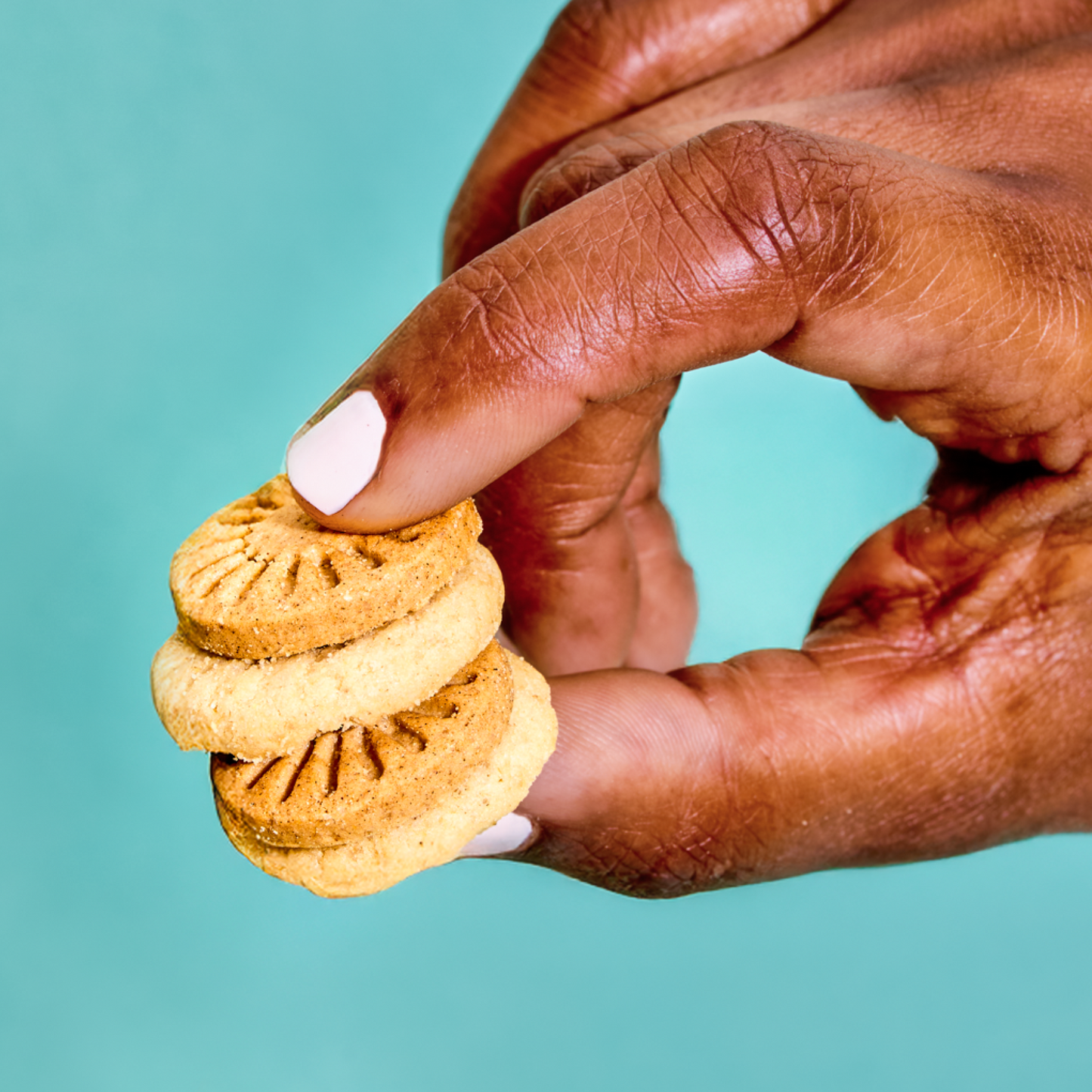 Mini Wafers & Grahams