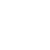 Footer icon 2