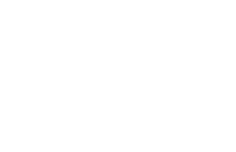 Footer icon 1