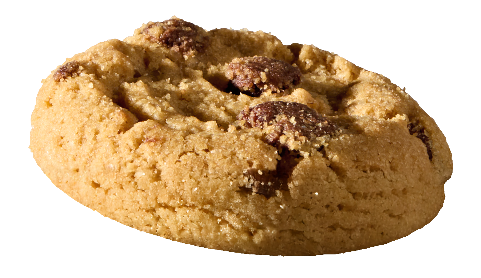Bottom Cookie